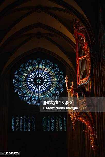 strasbourg notre dame organ and rose window - christian audigie stock pictures, royalty-free photos & images
