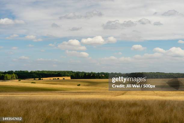 scenic view of agricultural field against sky,amesbury,salisbury,united kingdom,uk - amesbury stock pictures, royalty-free photos & images