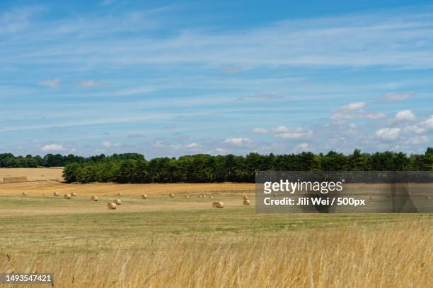 scenic view of agricultural field against sky,amesbury,salisbury,united kingdom,uk - amesbury stock pictures, royalty-free photos & images