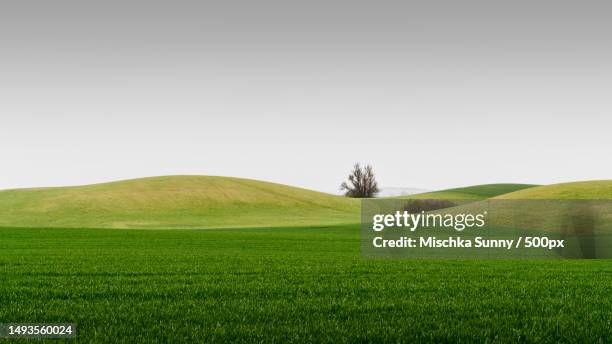 feldberg lakes landscape part iv - green de golf fotografías e imágenes de stock