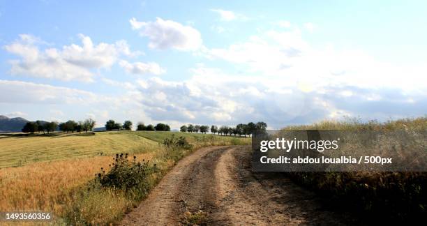 empty road amidst field against sky,algeria - algeria stock pictures, royalty-free photos & images