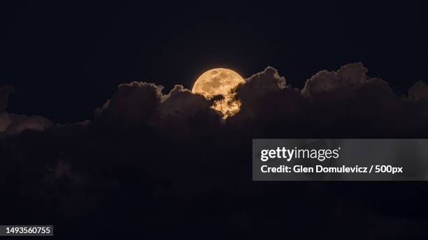 low angle view of moon against sky at night - luz de la luna fotografías e imágenes de stock