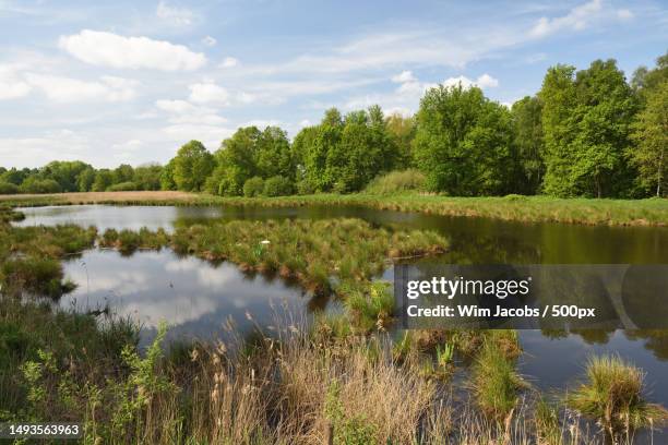scenic view of lake against sky,nettetal,germany - wandelen stock pictures, royalty-free photos & images