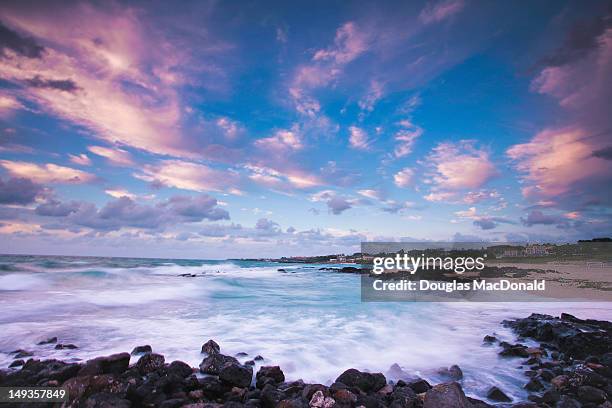 sunset at beach - jeju island 個照片及圖片檔