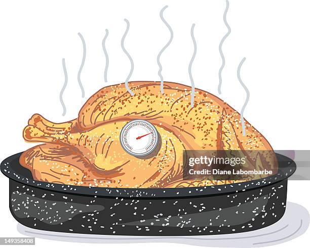 roast turkey with thermometer - thermometer turkey stock illustrations