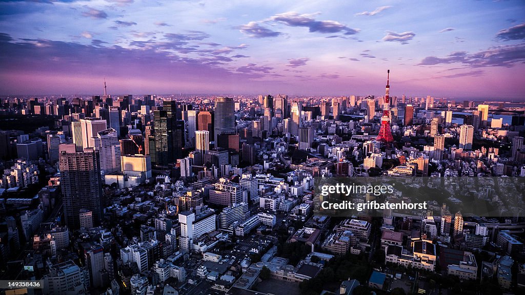 Tokyo metropolis at sunset