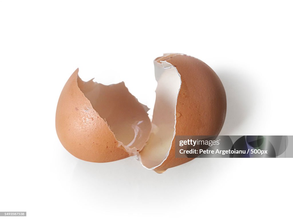 Eggs shell isolated on a white background