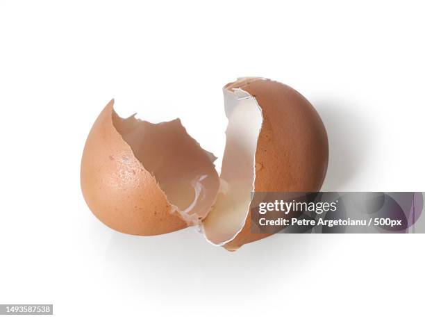 eggs shell isolated on a white background - half open stock pictures, royalty-free photos & images