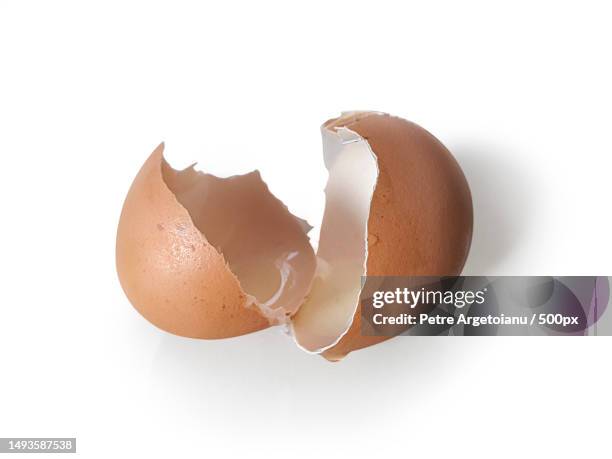 eggs shell isolated on a white background - casca de ovo imagens e fotografias de stock