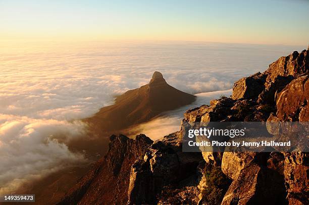 lions head in cloud from top of table mountain - lion's head mountain stock pictures, royalty-free photos & images