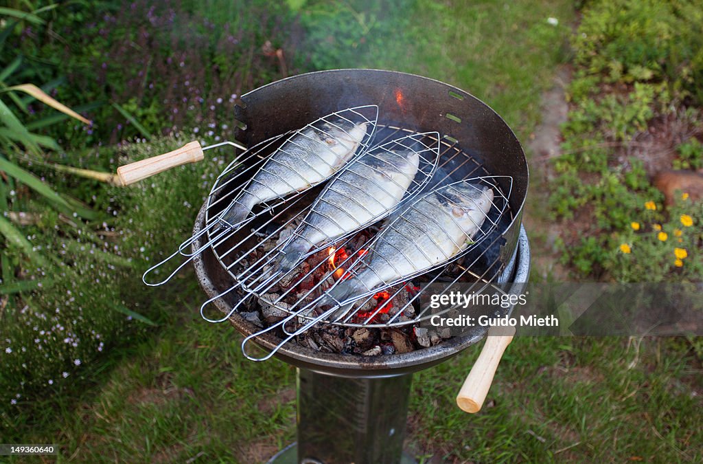 Fish on open flame grill