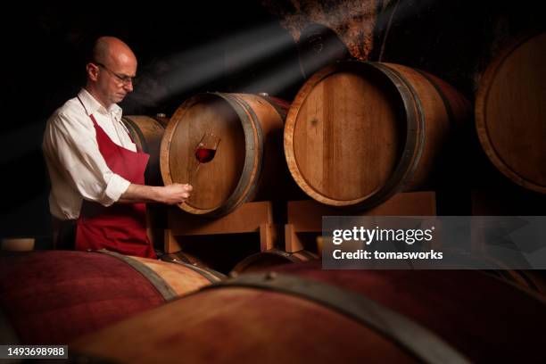 winemaker is exam his product at wine cellar - källarvåning bildbanksfoton och bilder