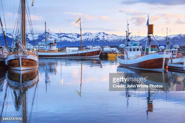 whale watching town of husavik. boats in the harbour. iceland. - iceland harbour stock-fotos und bilder