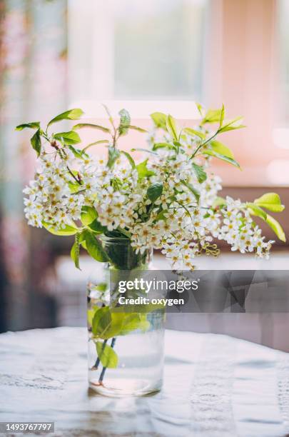 glass bottles with blooming bird cherry spring decorations. interior kitchen green and white spring decor - apple blossom tree fotografías e imágenes de stock