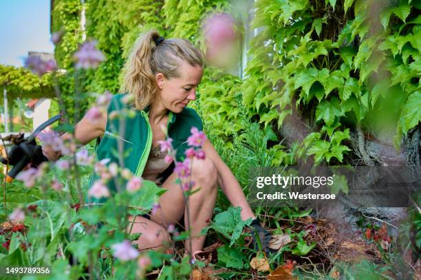 sitting in flowerbed weeding - weeding stock pictures, royalty-free photos & images