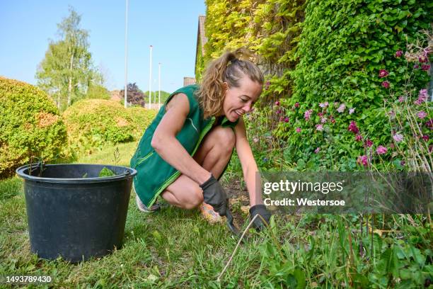 sitting in flowerbed weeding - weeding stock pictures, royalty-free photos & images