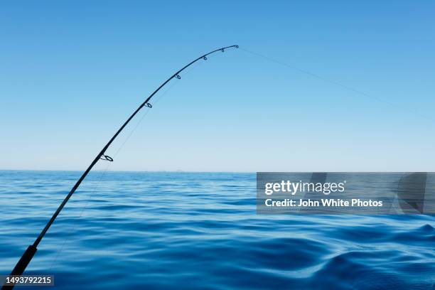 fishing rod bending while catching a fish. deep blue ocean in the background. blue sky and copy space. - cana de pesca imagens e fotografias de stock
