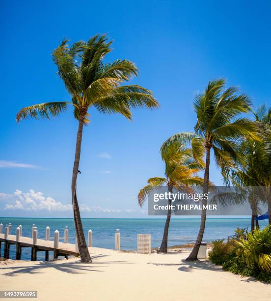 islamorada, florida keys beach scene - florida keys beach stock pictures, royalty-free photos & images