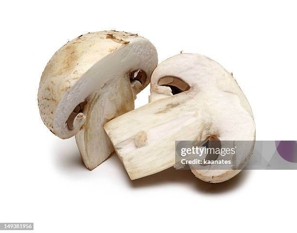 mushrooms cut in half - mushroom isolated stock pictures, royalty-free photos & images