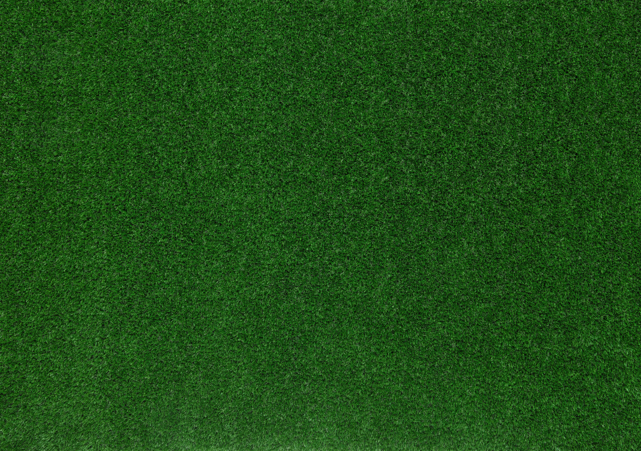 eco-friendly carpet