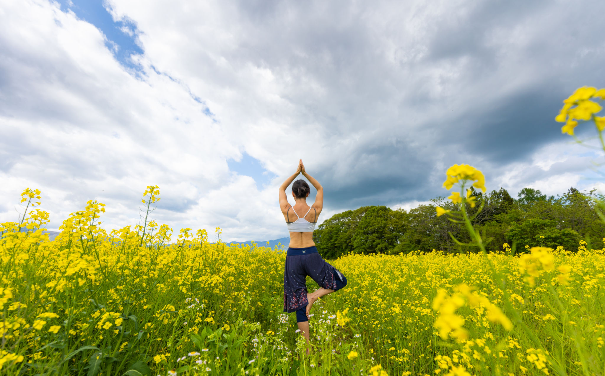 Eine Frau, die Yoga praktiziert und sich inmitten eines gelben Rapsblumenfeldes entspannt Eine Frau, die Yoga praktiziert und sich inmitten eines gelben Rapsblumenfeldes entspannt