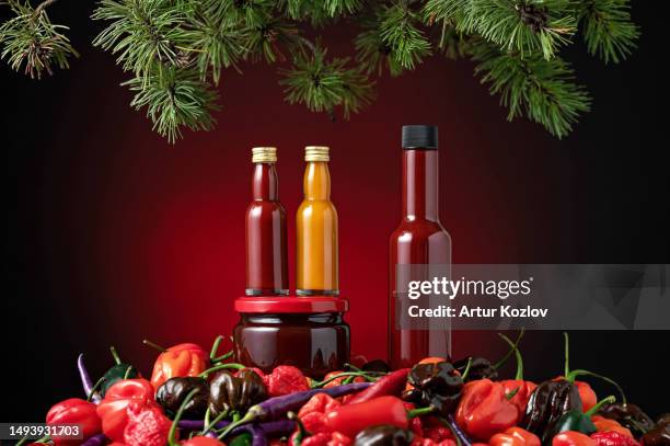 jars with hot sauce and different types of peppers under branches of christmas tree. christmas new year's menu. different varieties of hot peppers for sauce. maroon background. side view. copy space - hot pepper bildbanksfoton och bilder