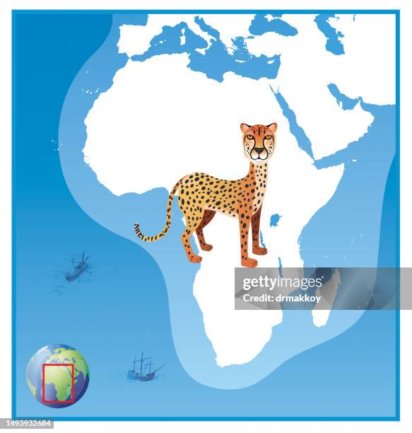 Solmalin 152 Somalian Cat Stock Photos, High-Res Pictures, and Images - Getty Images