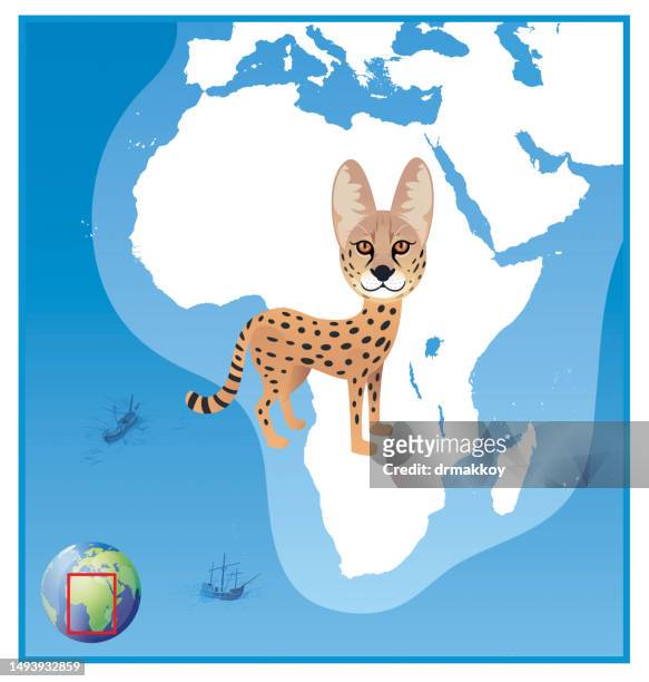 serval (leptailurus serval) in africa map - pure bred cat stock illustrations