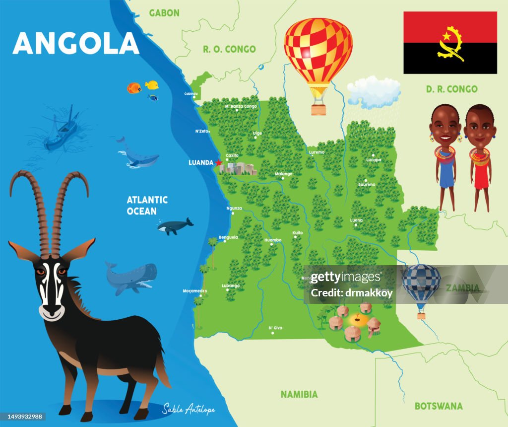 Sable antelope (Hippotragus niger) in Angola