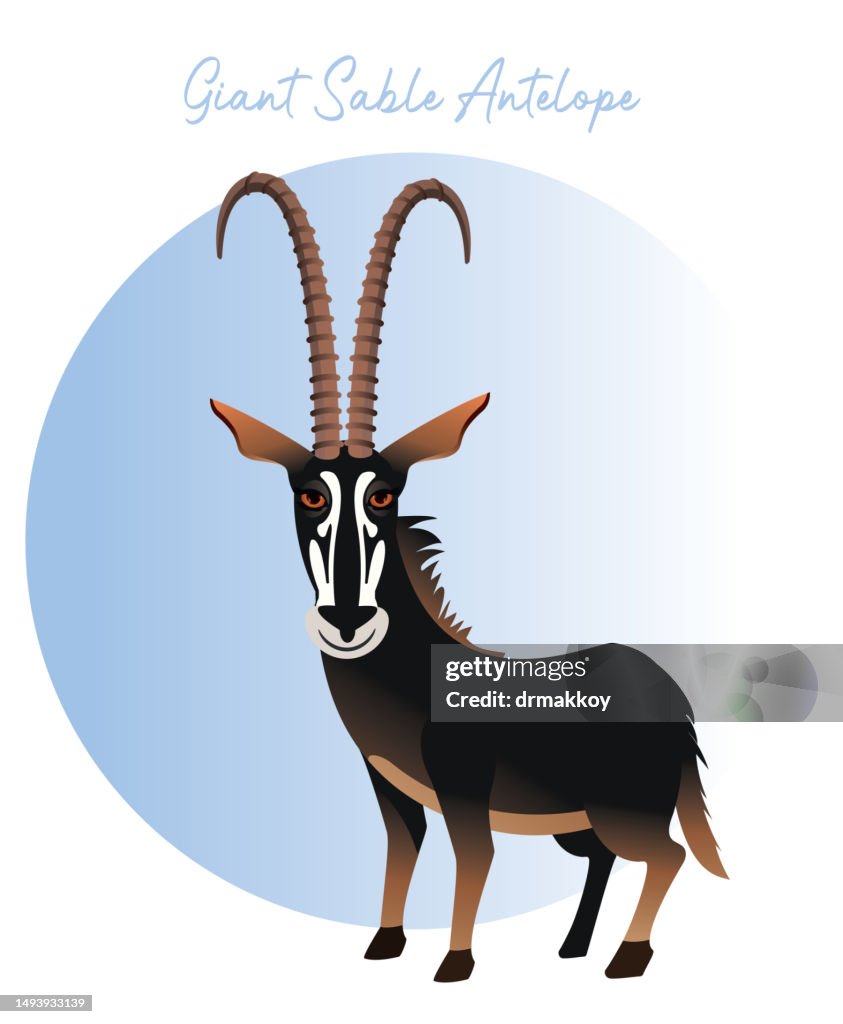 Giant sable antelope