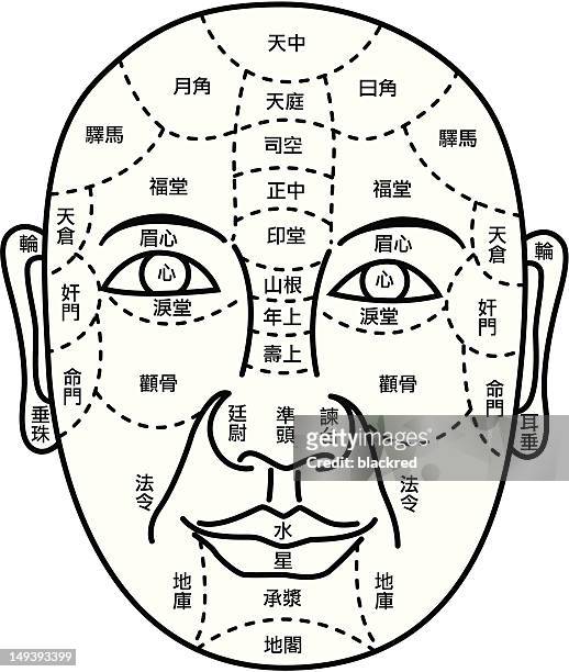 gesichtsbehandlung wahrsagerei diagramm - chinese medicine stock-grafiken, -clipart, -cartoons und -symbole