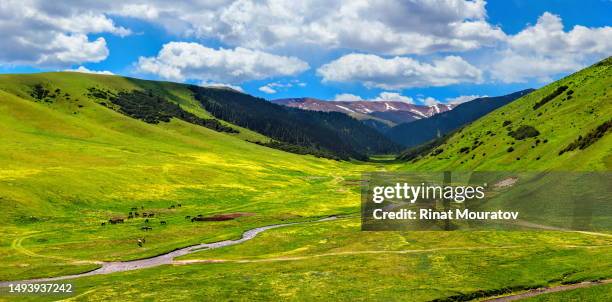 nature scenery of mountains in almaty region, kazakhstan - almaty stock pictures, royalty-free photos & images