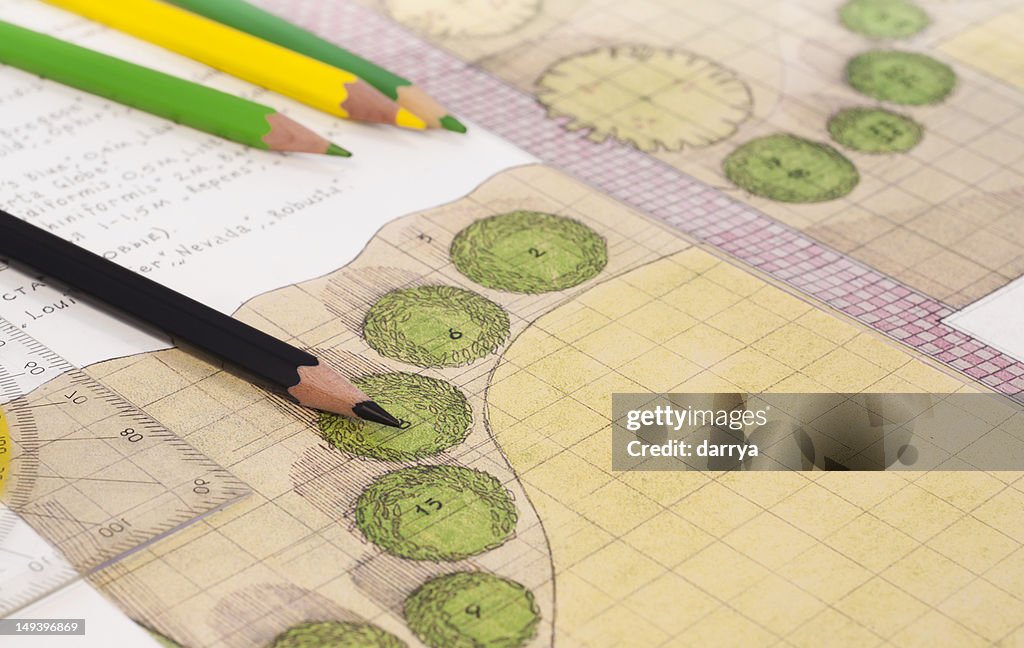 Landscape architect drawing