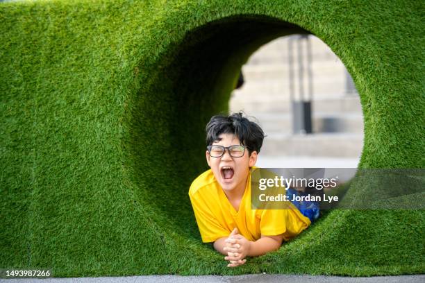 chinese boy screaming in playground - face in hole free stock pictures, royalty-free photos & images