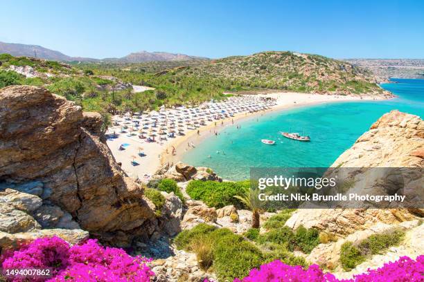 vai, crete, greece. - greece stock pictures, royalty-free photos & images