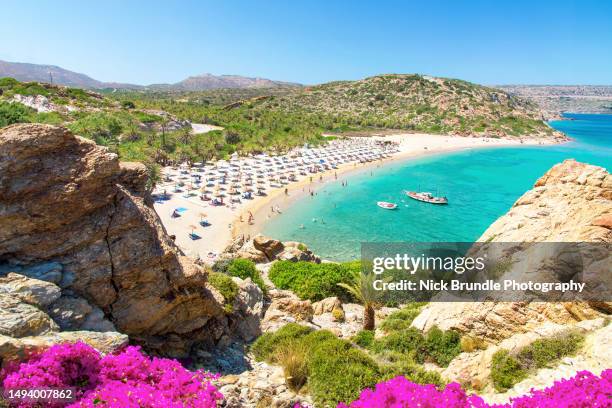 vai, crete, greece. - greek islands stock pictures, royalty-free photos & images