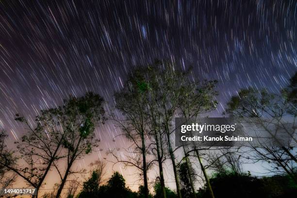 dark sky forest and star trails at night - star sky stock-fotos und bilder