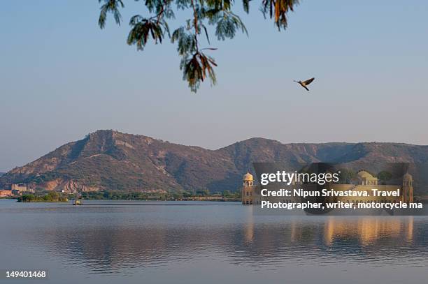 jal mahal - jal mahal stock pictures, royalty-free photos & images