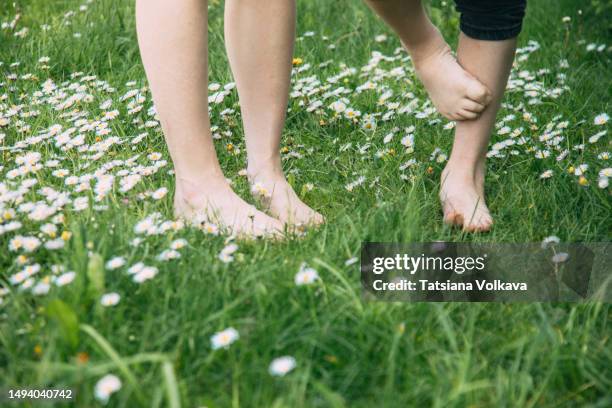 legs of unrecognizable while woman and child standing barefoot on green grass with daisies - 10 feet stock pictures, royalty-free photos & images
