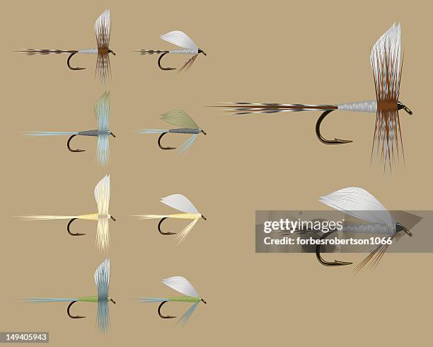 fish fly assortment - set one - casting stock illustrations