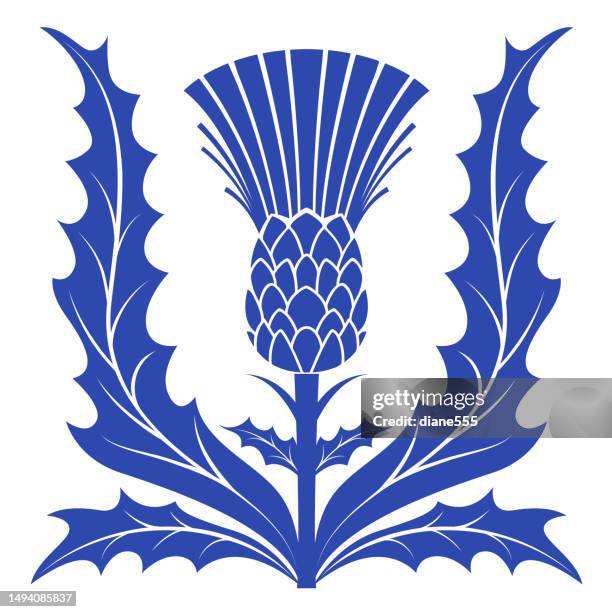 stockillustraties, clipart, cartoons en iconen met thistle flower isolated on a transparent background - thistle