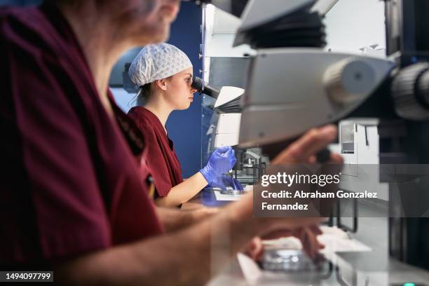 staff of a fertility lab working on samples - biotechnology lab stock-fotos und bilder