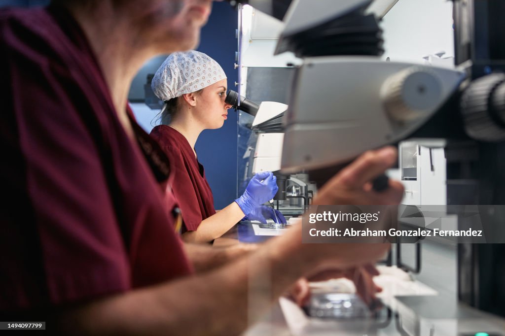 Staff of a fertility lab working on samples