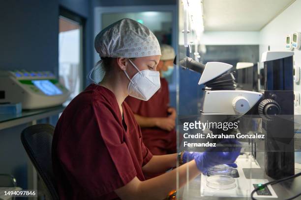 people working with a microscope and samples at a fertility clinic - in vitro fertilization stock pictures, royalty-free photos & images
