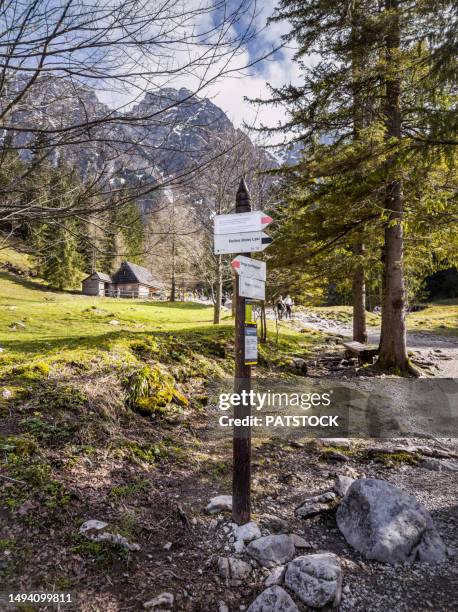 directional signs in the mountains - trail marker stock pictures, royalty-free photos & images