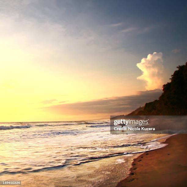 Surfer stands in ocean watching sunset on beach