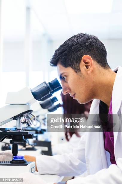 laboratory expertise: young male medical technologist engaged in microscopic analysis of gram stained sample - célula cultivada fotografías e imágenes de stock