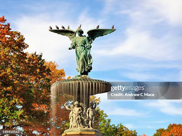 bethesda fountain - new york central park fountain stock pictures, royalty-free photos & images
