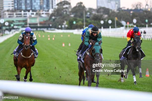 Ben Allen riding Coolangatta , Brett Prebble riding Cannonball and James McDonald riding Artorious during a straight course jump out session at...