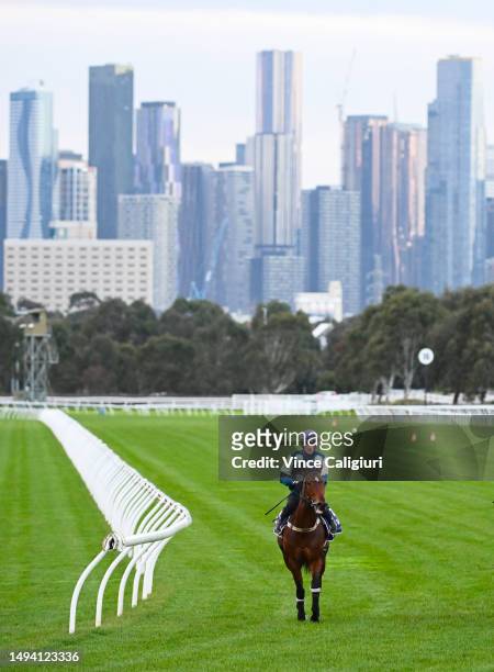 Ben Allen riding Coolangatta after a straight course jump out session at Flemington Racecourse on May 29, 2023 in Melbourne, Australia.